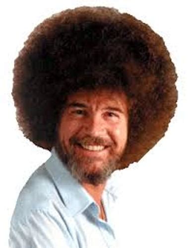 He was married to lynda lucille freeman, jane ross and vivian vicky patricia (hill) ridge. 10 Facts about Bob Ross | Fact File