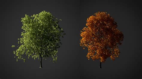 How To Create A Realistic Tree In Blender 3d Part 1 Blender