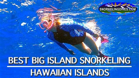 Best Big Island Snorkeling Hawaii Youtube