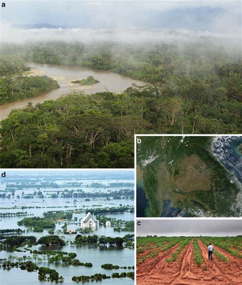 5 Flood Hazard Mitigation Functions Of Forests A Tropical
