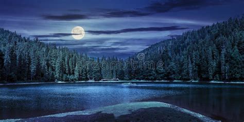 Lake Among The Forest In Mountains At Night Stock Image Image Of