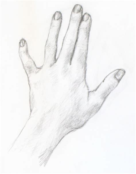Drawing Tutorial A Simple Drawing Of Your Hand Portrait Artist From