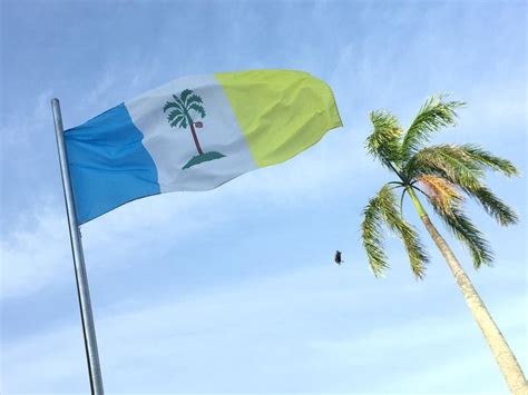 Flag Of Penang Malaysia Next To A Pinang Tree Areca Palm Rvexillology