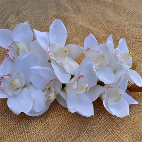 Fiore simile all'orchidea il prezzo si riferisce alla singola piantina. Fiore Giallo Simile All Orchidea / Phalaenopsis o Orchidea ...