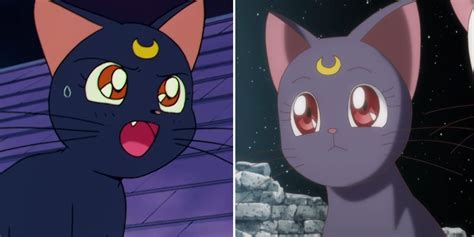 Sailor Moon 10 Things That Make No Sense About Luna Cbr