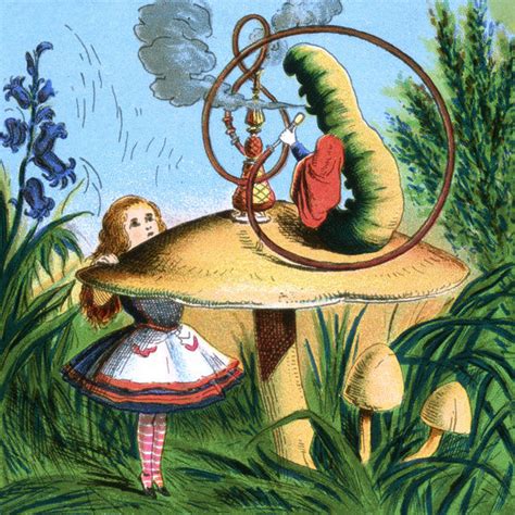 Alice In Wonderland Alice And A Caterpillar Photos Prints Framed