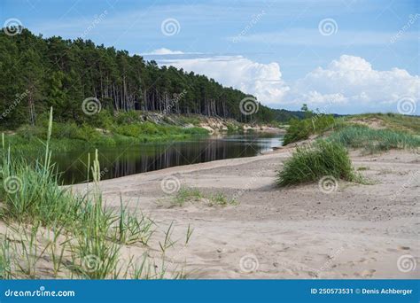 River With Coniferous Forest And Beach Stock Image Image Of Landscape