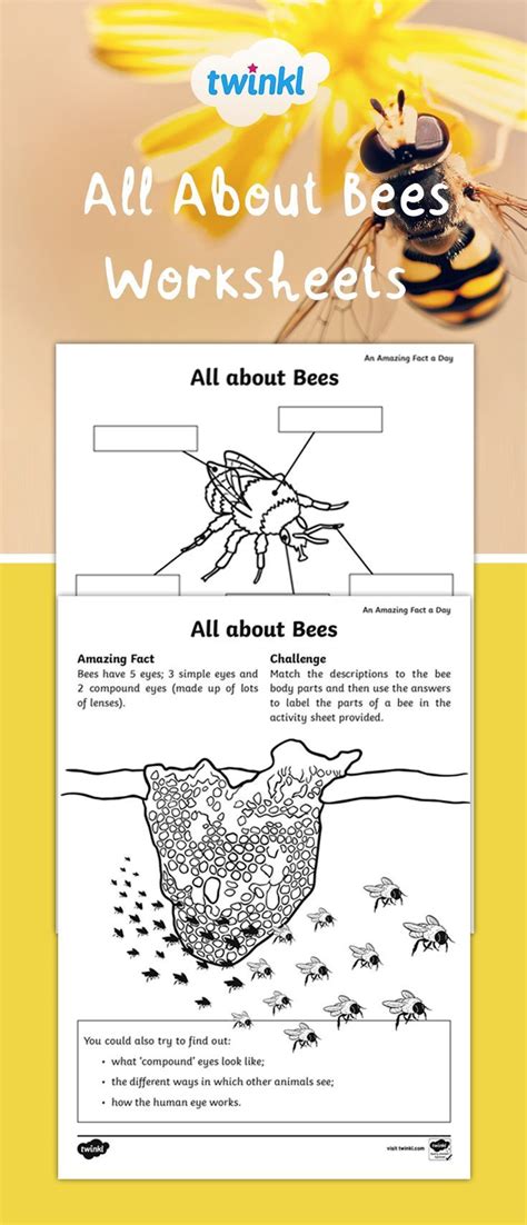 Bee Worksheets For Kids