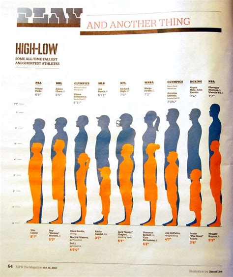 The Science Of Height Decoding The Human Height Comparison Chart Dona