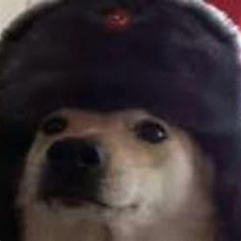 Comrade Dog Youtube