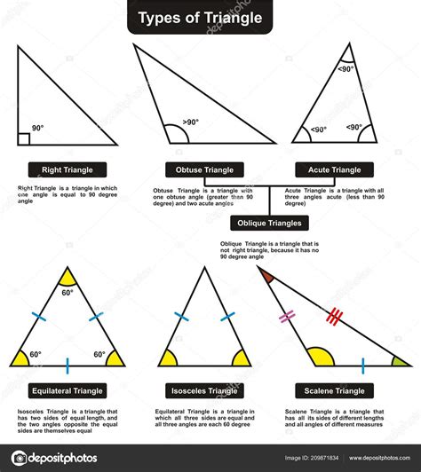 Different Types Triangles Definitions Angles Infographic Diagram
