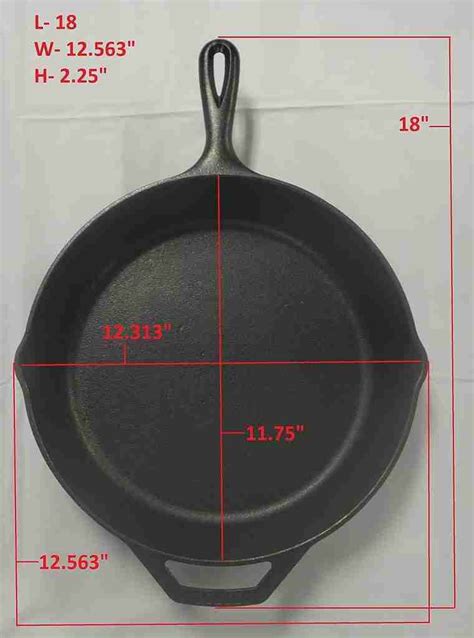 Lodge Seasoned Cast Iron Skillet Inch Ergonomic Frying Pan With