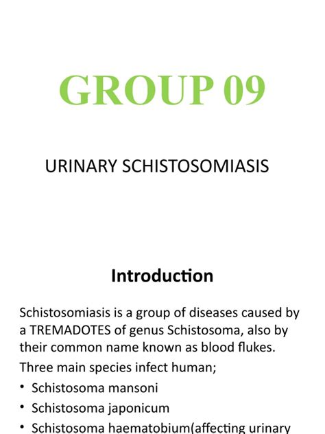 Urinary Schistosomiasis Pdf Medicine Health Sciences