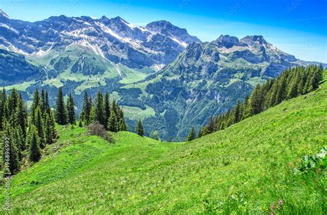 Swiss Alps In The Summer Season Panorama Of The Picturesque Mountain