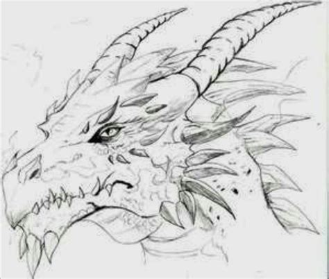 Flying dragons, standing dragons, dead dragons, dragon feet, dragon heads, any kind of dragon or dragon how to draw a simple dragon. Pin by Bi ba on DRAGON | Cool dragon drawings, Dragon head ...