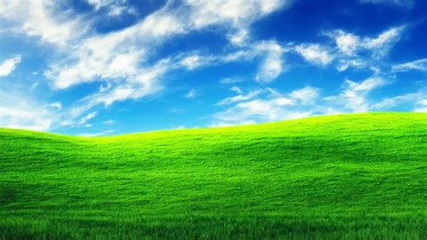 Top 43 Imagen Windows Background Grass Vn