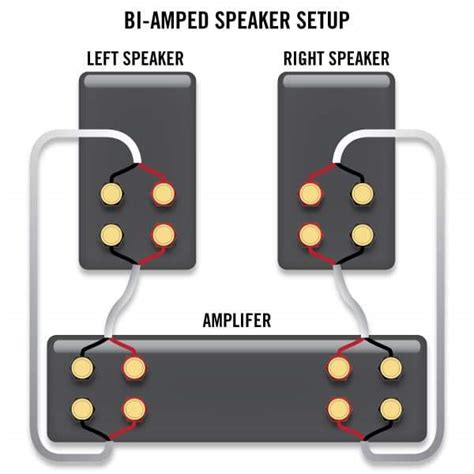 How To Bi Wire And Bi Amp Your Speakers — Sewell Direct