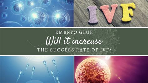 What Is Embryo Glue And Will It Increase The Success Rate Of Ivf Youtube