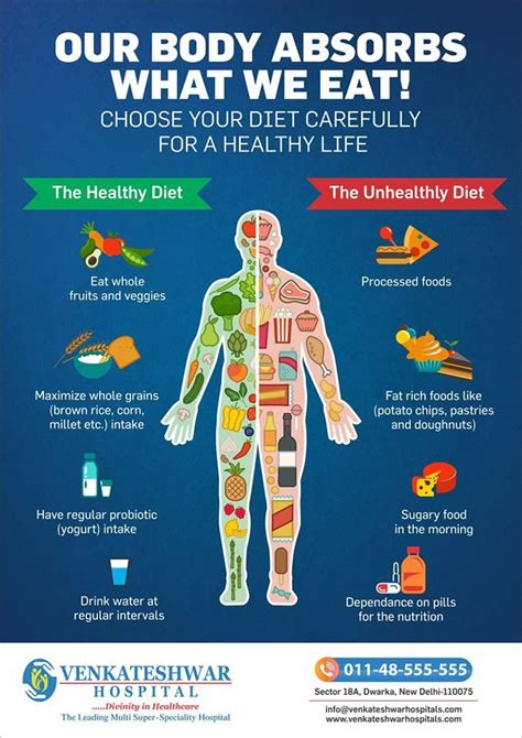 Our Body Absorbs What We Eat Choose Your Diet Carefully For A
