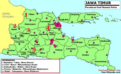 Fcs Fuat Cepat Selamat Peta Persebaran Manusia Purba Di Jawa Timur