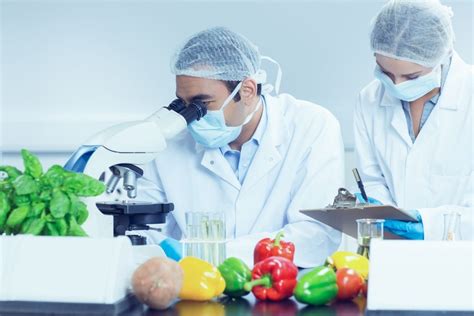 ¡nuevo Curso Microbiología En Alimentos Portal De Inocuidad