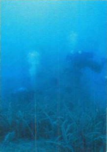 Artificial reef construction can only be completed by state or local coastal governments (county or city) in authorized permitted areas. IELTS Academic Reading Sample 19 - Creating Artificial Reefs