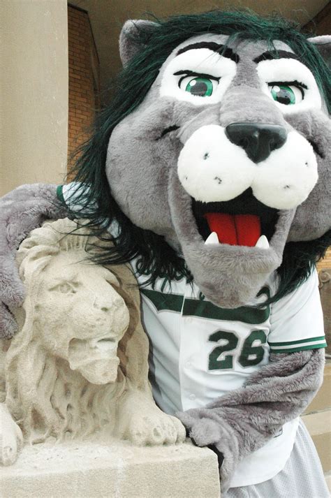 Rocky The Lion Sru Mascot And The Statue That Inspired It Mascot