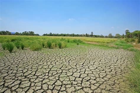 Global Land Degradation Could Displace Millions In The Future •