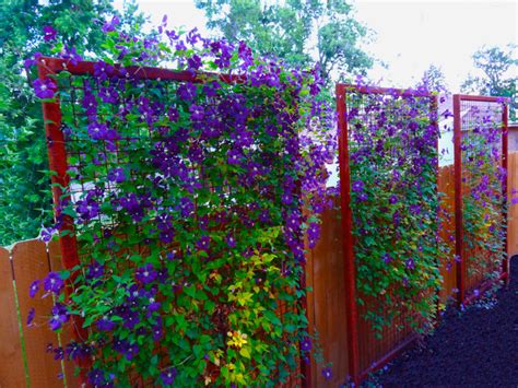 Backyard landscaping ideas for privacy fence and screen. Backyard Landscaping Ideas for Privacy Fence and Screen