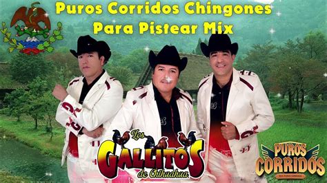 Los Gallitos De Chihuahua Puros Corridos 35 Exitos Mix Para Pistear