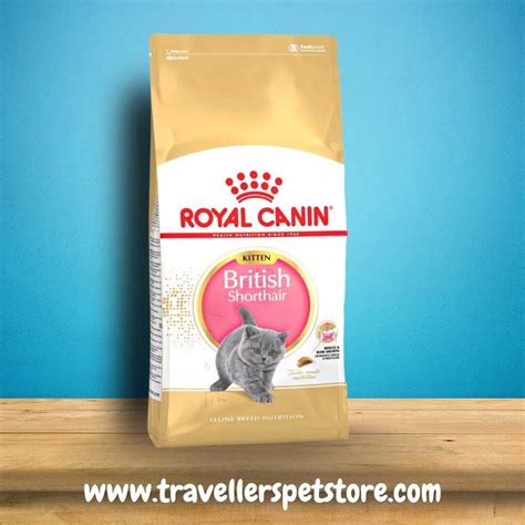 Jual Royal Canin British Shorthair Kitten 400g Super Premium Cat Dry