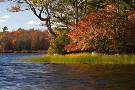 Private Islands For Rent Log House At Johns Back Lake Nova Scotia