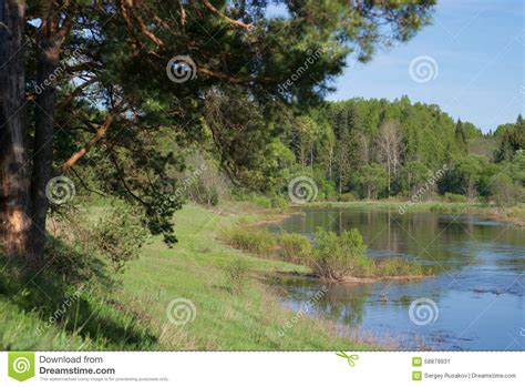 Rural River Stock Image Image Of Green Rural Forest 58879931