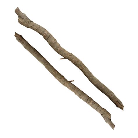 Real Tree Branch Twigs Twig Firewood Png Transparent Clipart Image