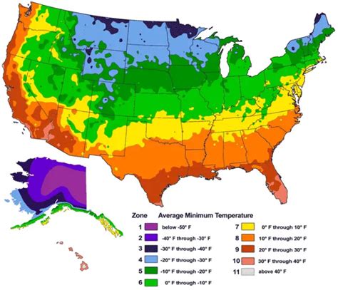 Map Of Usda Hardiness Zones In The United States Superfoodly