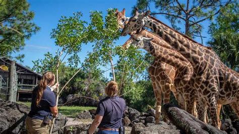 Brevard Zoo To Offer Free Admission For Children In September