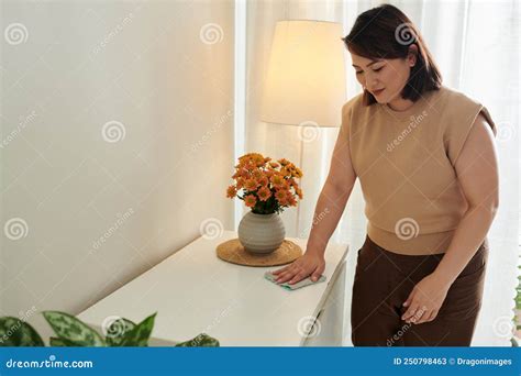 Housewife Doing Housework In The Room Stock Image Image Of Housework Wash 250798463