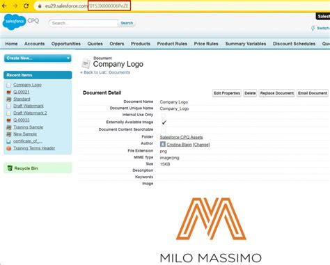 Generate professional and consistent custom quotes in minutes with salesforce cpq. Salesforce CPQ: Quote Templates - Adding Company Logo