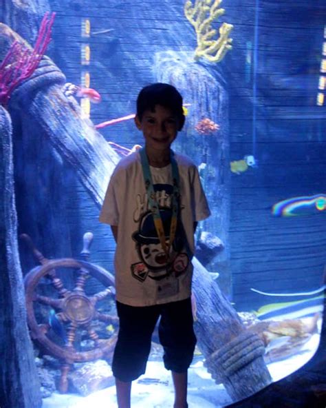 Get In Free To Sea Life Aquarium At Legoland Popsicle Blog