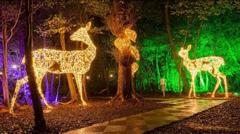 Wonderlights To Return This Christmas With Incredible New Theme Cork