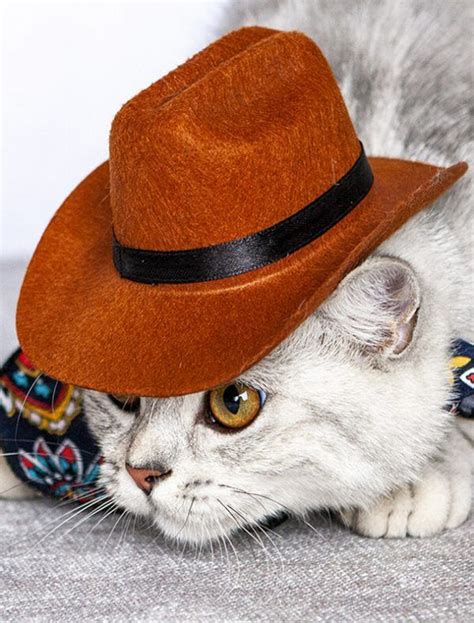 Pin On Cat Cowboy Hat