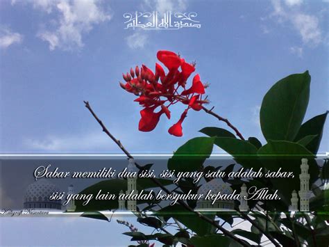 Maybe you would like to learn more about one of these? Kumpulan Kata Kata Mutiara Islami Penuh Makna Indah Dan Renungan | Jamus Indah