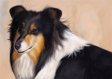 Lassie The Dog By Avorage On Deviantart