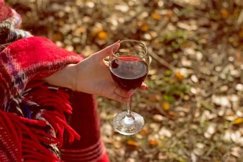 Light Red Wines For Fall The Best Autumn Wines To Drink Vinfolio Blog