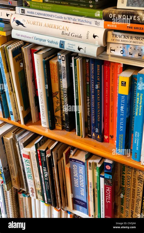 Spines Of Books On Well Stacked Shelves Stock Photo Alamy