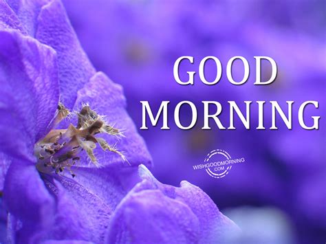 Good Morning Wishes Good Morning Pictures WishGoodMorning Com
