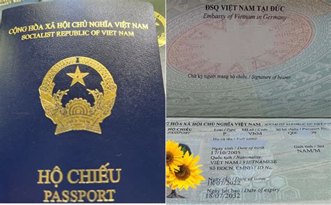Us Asks New Vietnamese Passport Holders To Supplement Place Of Birth Info