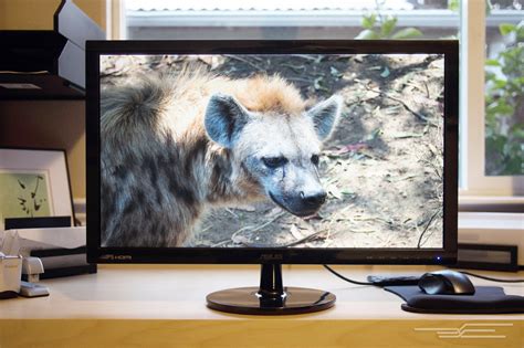 The Best 24 Inch Monitor Engadget