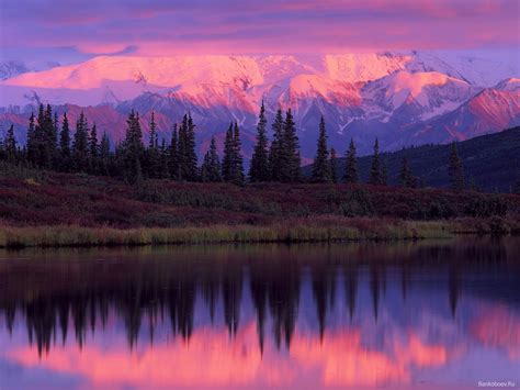 Wonder Lake E Alaska Range Al Tramonto Parco Nazionale Di Denali