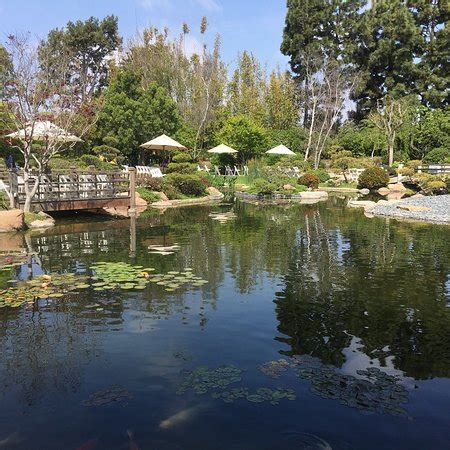 Cal state long beach japanese garden. Earl Burns Miller Japanese Garden (Long Beach) - 2018 All ...